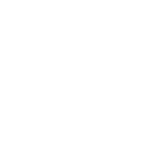 paideia international hospital roma